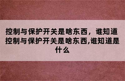 控制与保护开关是啥东西，谁知道 控制与保护开关是啥东西,谁知道是什么